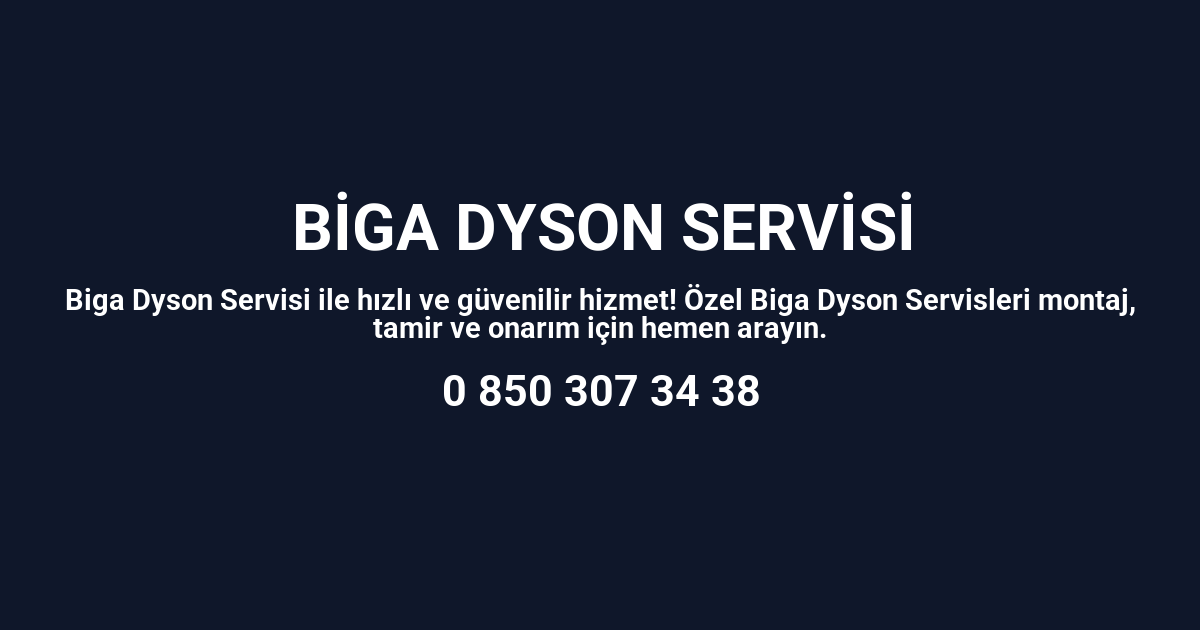 Biga Dyson Servisi